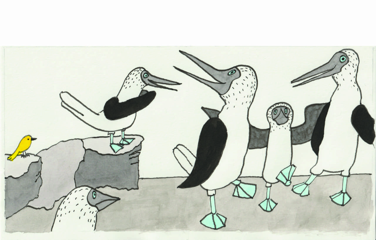Illustration Sepi und Bo, Seite 3-4